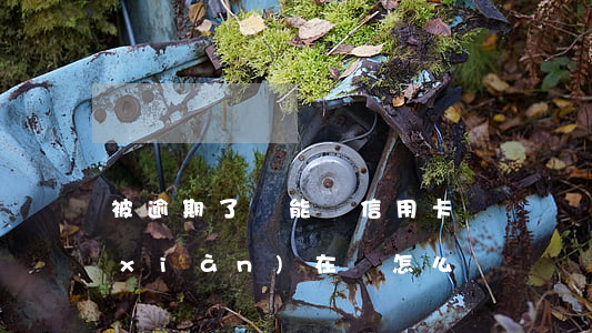 被逾期了還能辦信用卡嗎？現(xiàn)在該怎么辦？